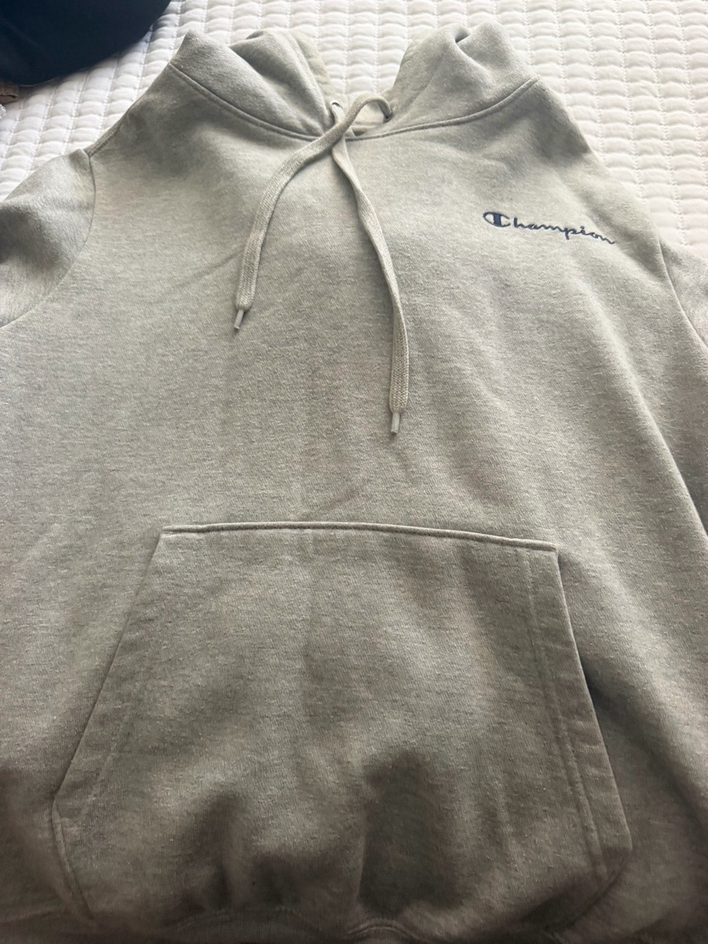 Champion Pullover Hoodie in Heather Gray with Navy Script Logo